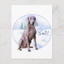 Search for weimaraner christmas cards Breed