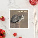 Search for grey cat napkins Animals