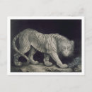 Search for pencils postcards Animals