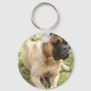 Search for mastiff key rings English