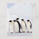 Search for conformation postcards Animal