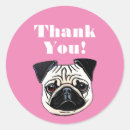 Search for cute dog thank you stickers Pug