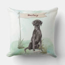 Search for black lab cushions Labrador