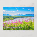 Search for denali alaska postcards Denali national park