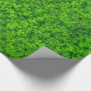 Search for water wrapping paper Outdoors