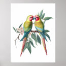 Search for vintage wildlife drawing posters Nature