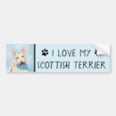 Search for scottish bumper stickers Blue