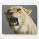 Search for aggressive electronics Wildlife