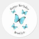 Search for morpho butterfly stickers Insect