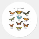 Search for christian sayings stickers God