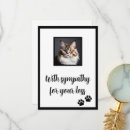 Search for cat rainbow bridge cards Bereavement