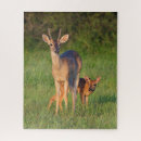 Search for deer antlers puzzles Fawn