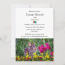 Search for family easter invitations Rabbit