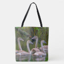 Search for waterfowl bags River