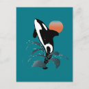 Search for orca the whale postcards Illustration