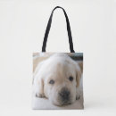 Search for dog napping bags Puppy