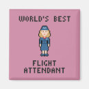 Search for in flight magnets Aircraft