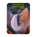 Search for lower falls Yellowstone