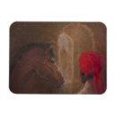 Search for stable magnets Horse