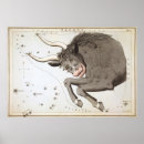 Search for astrological chart art Taurus