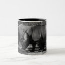 Search for rhinoceroses Africa