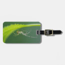 Search for webbed accessories Wildlife