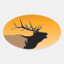 Search for bull elk stickers Antlers