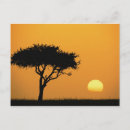 Search for silhouetted postcards Tree