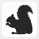 Search for cartoon squirrel stickers Rodent