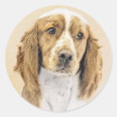 Search for springer spaniel stickers Puppy