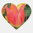 Search for pink tulips stickers Orange