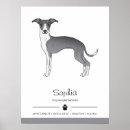 Search for italian posters Stylish