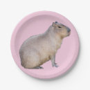 Search for capybara plates Animal