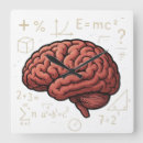 Search for brain clocks Intelligence
