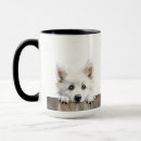 Search for spitz mugs Cute