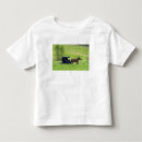 Search for amish tshirts Ohio