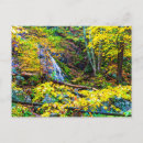 Search for autumn forest postcards America