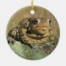 Search for toad christmas tree decorations Amphibian
