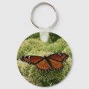 Search for beautiful butterflies key rings Nature