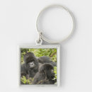 Search for mcdonalds key rings Herbivore