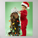 Search for chocolate labrador art Canine