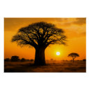 Search for baobab tree art Sunset