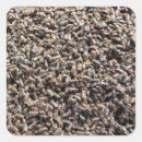 Search for beetle bug stickers Larva