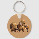Search for dachshund key rings Hound