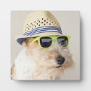 Search for terrier plaques Puppy