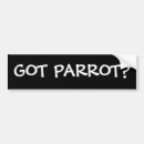 Search for parrot bumper stickers Bird