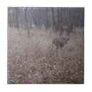 Search for whitetail deer tiles Hunting