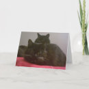 Search for two black cats cards Animals