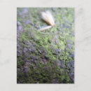 Search for pollen postcards Green
