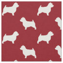 Search for norwich terrier Dog
